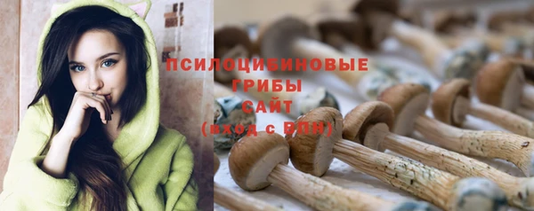 твердый Кукмор