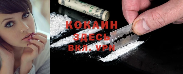 индика Корсаков