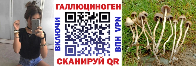 Псилоцибиновые грибы ЛСД  закладка  Льгов 